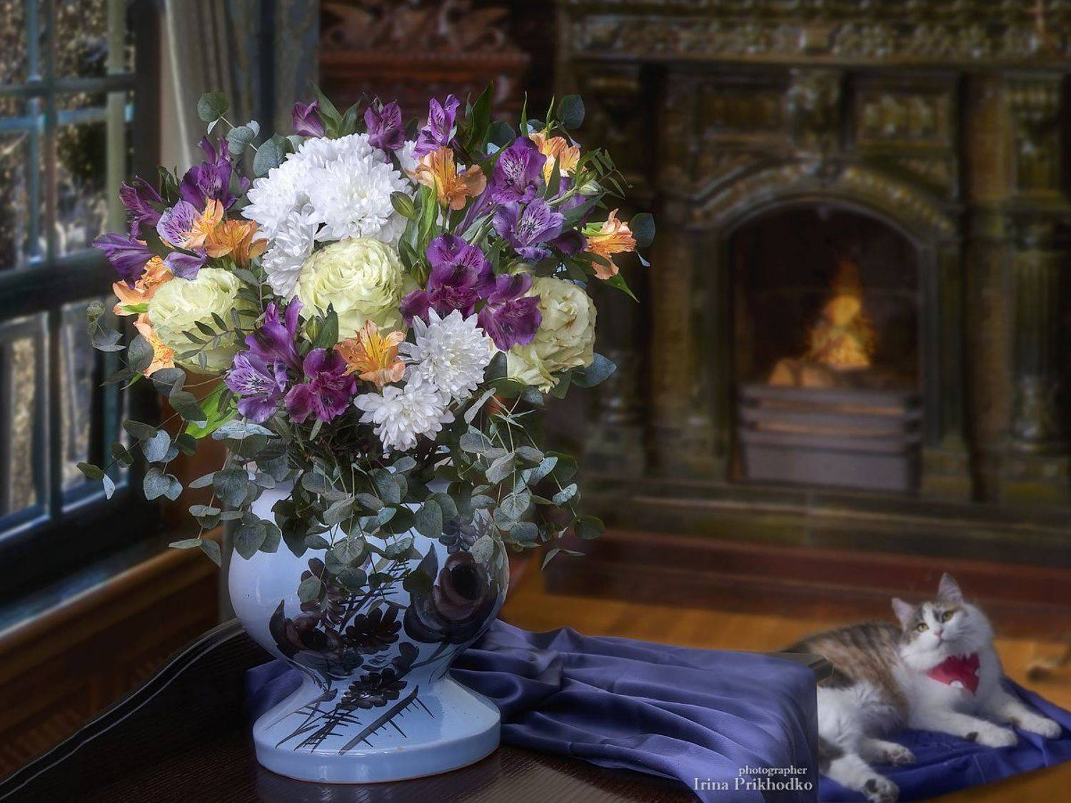 натюрморт, интерьер, букеты, цветы, кошка, Приходько Ирина