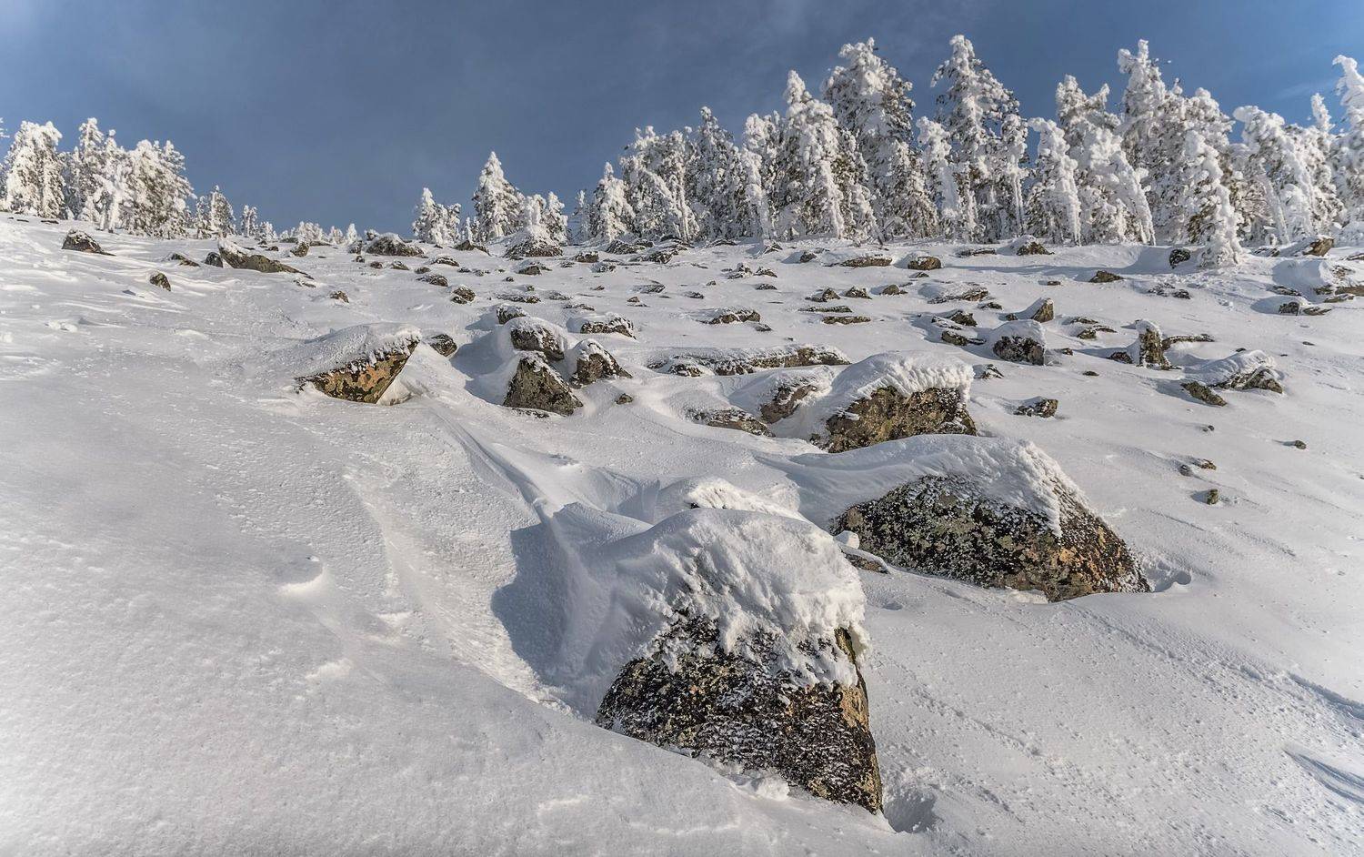 сибирь, аргыджек, зима, снег, иней, ели, камни, Фомина Марина