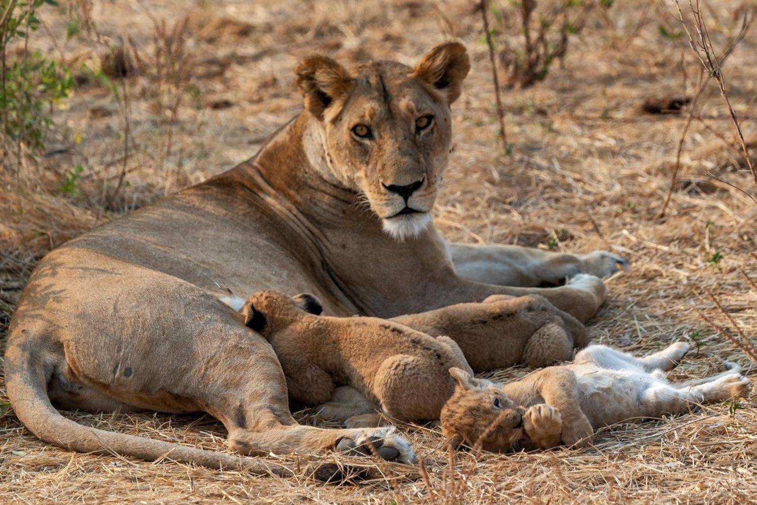 , Гордонов Юрий