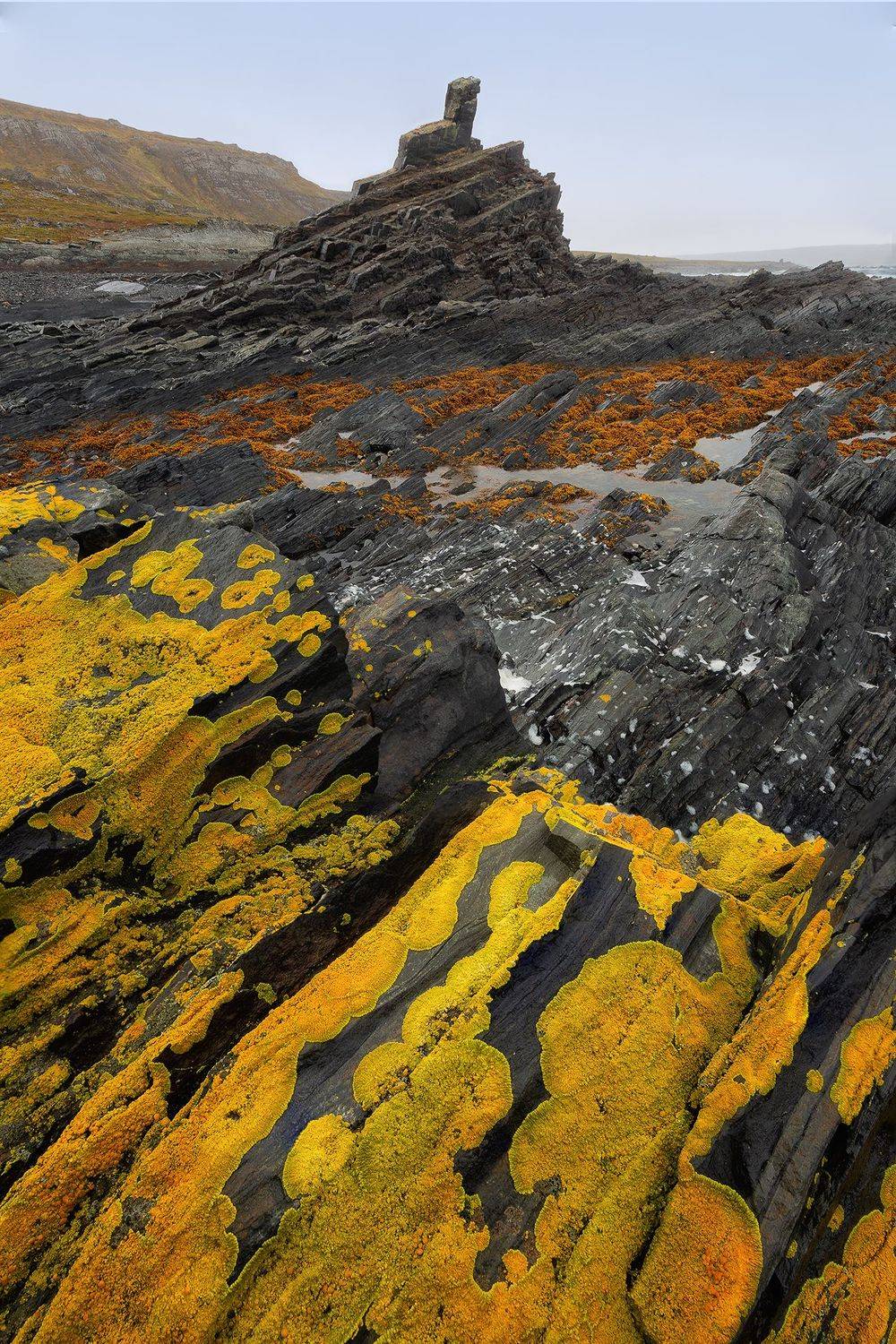 , Константин Маланин