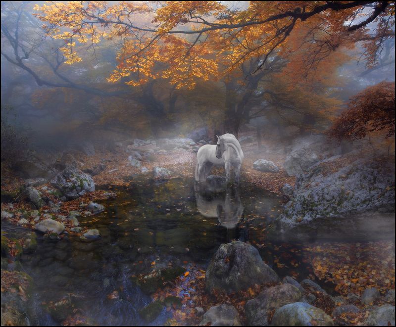 Грёзы осеннего леса фото превью