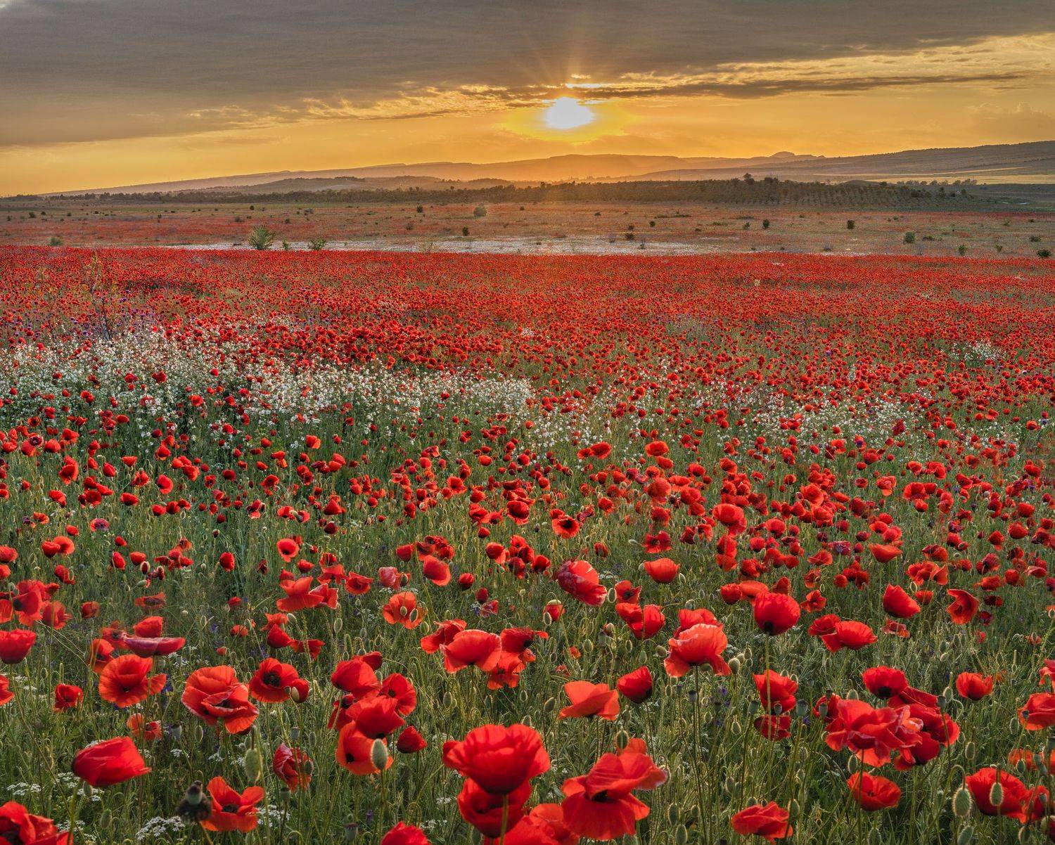 Фототуры с Владимиром Рябковым, #topnature #russpasibo #magic_shots #lovelyRussia #sunset_vision #exclusive_sky  #exclusive_shots #loves_russia2 #photoarena_nature #nature_sultans #nature_perfection #rsa_sky #rsa_sunset #photorussia #rsa_naturepics #sunse, Владимир Рябков