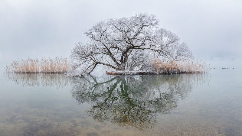 Wheel of Frozen