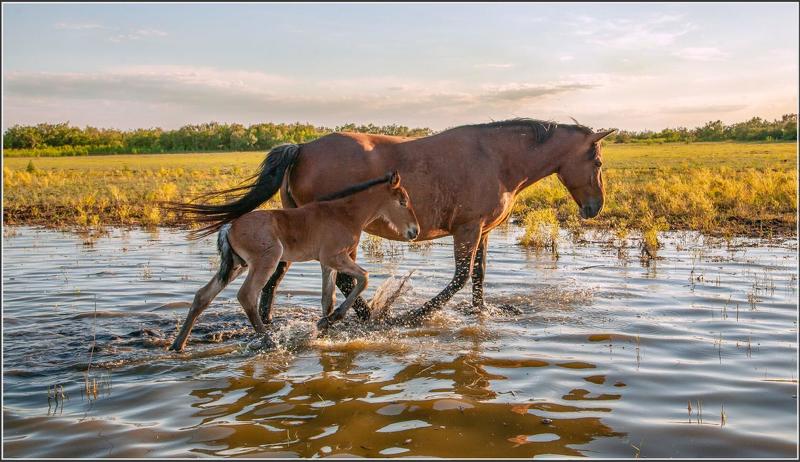 у села  камышово МАМА  С  СЫНОЧКОМ фото превью