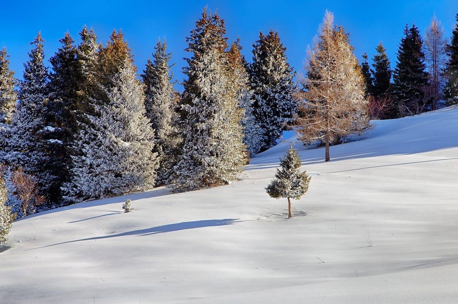 кыргызстан, ак-тюз, Элина Магалимова
