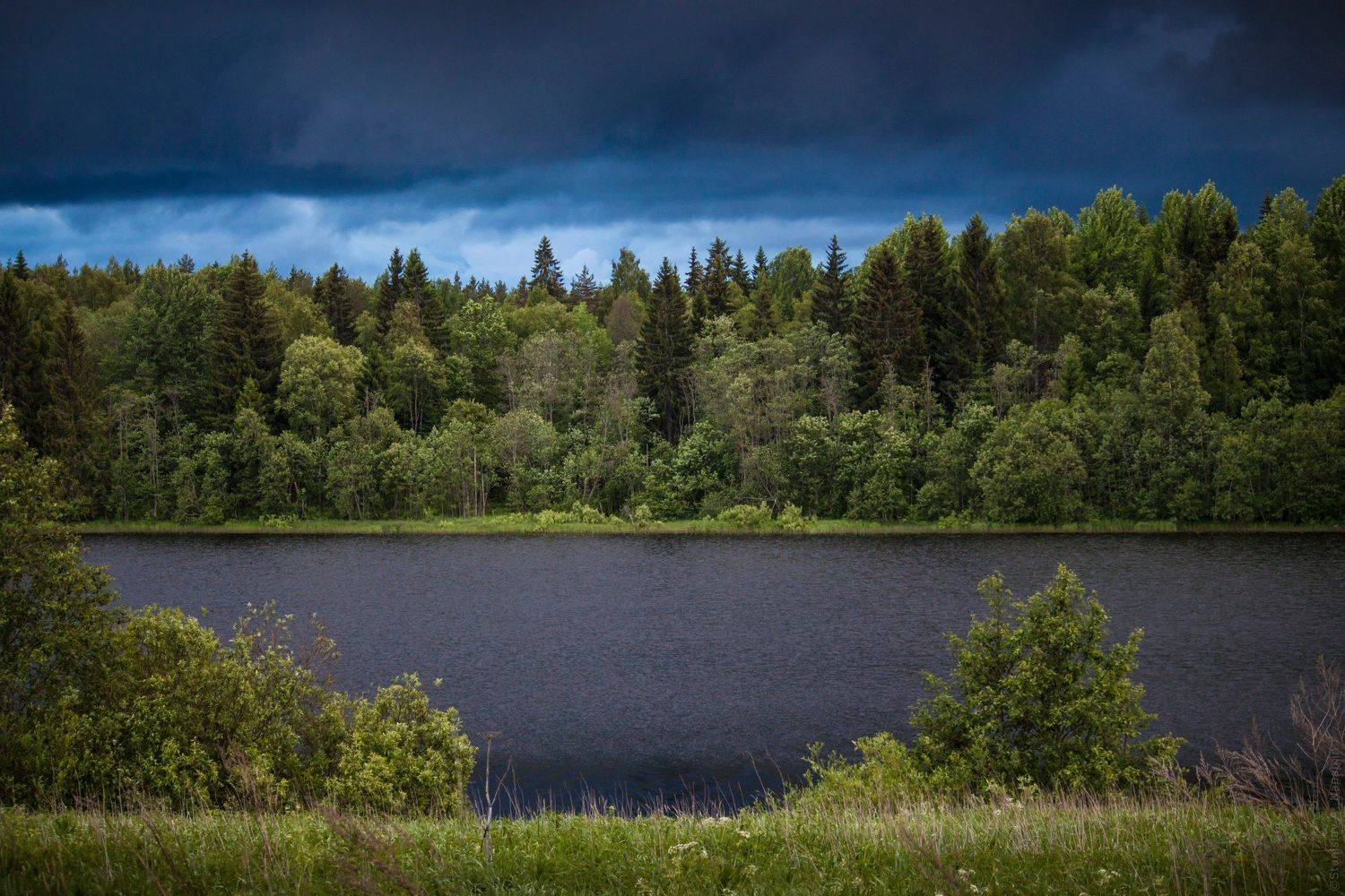 , Напалкин Станислав