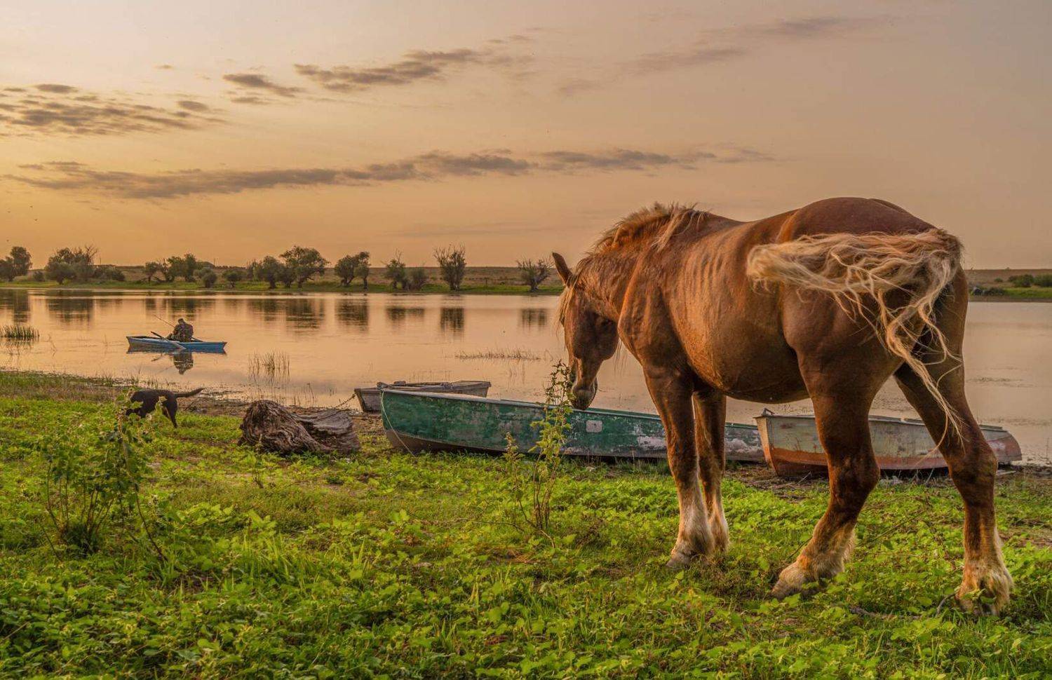 берег, Сергей цыбизов