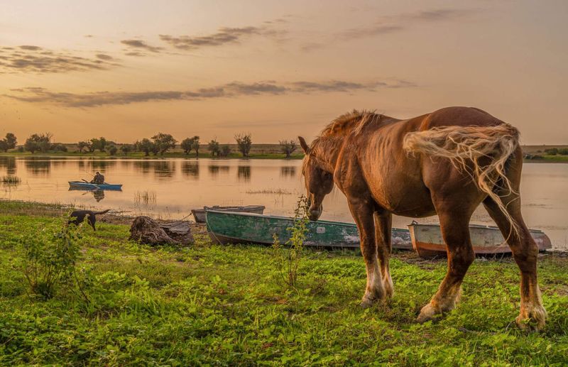 берег Деревенские зарисовки фото превью