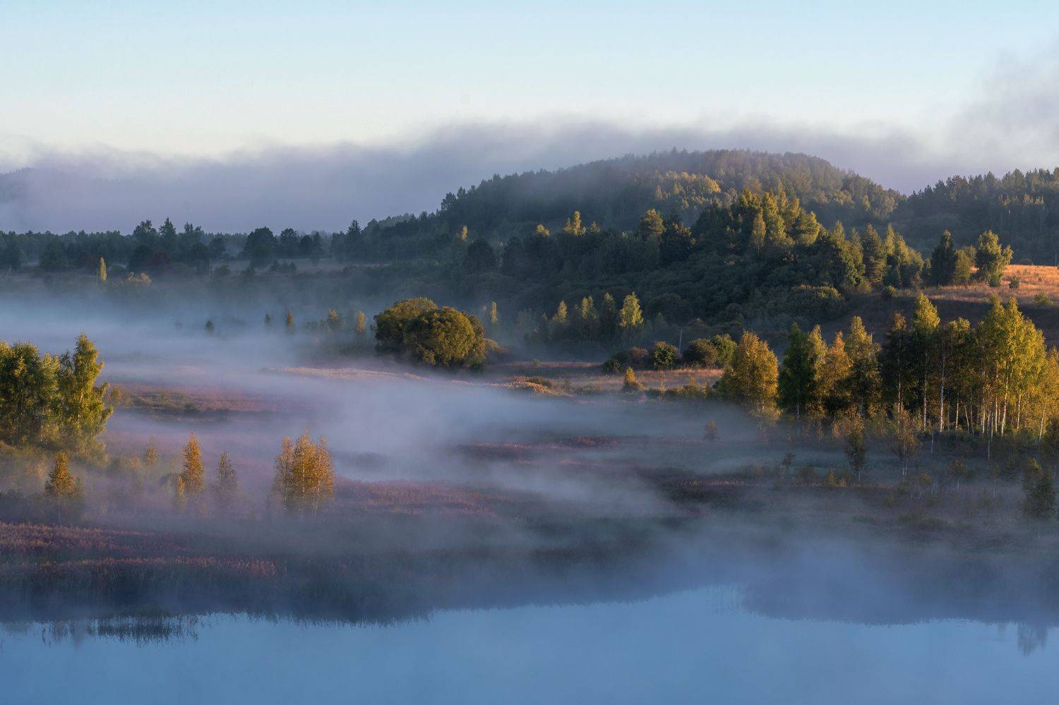 , Виктор Желенговский