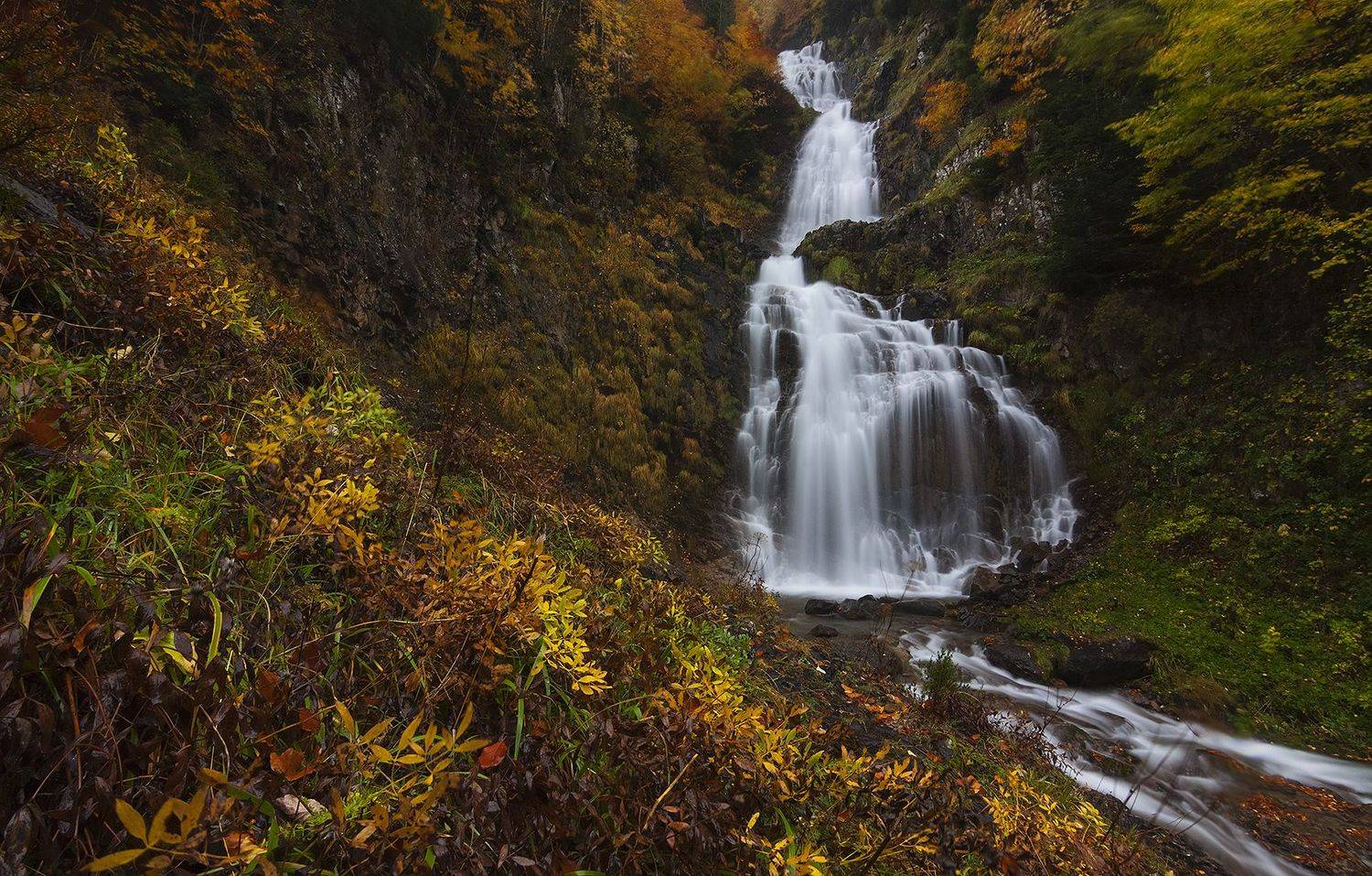 photography, mountain, autumn, color, landscape, photo, forest, tree, nature, mountains,  color, colorful, jimenez millan samuel
