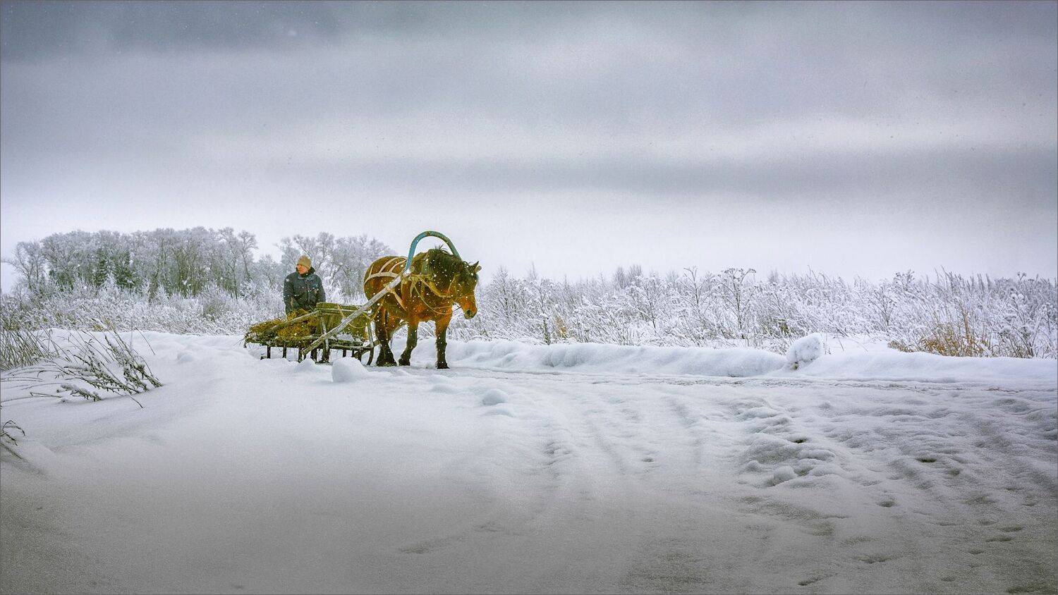 пейзаж, зима, лошадь, деревня, снег, свет, цвет, александр никитинский, Никитинский Александр