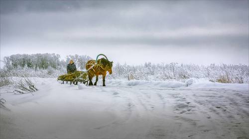 Картинка деревенская...