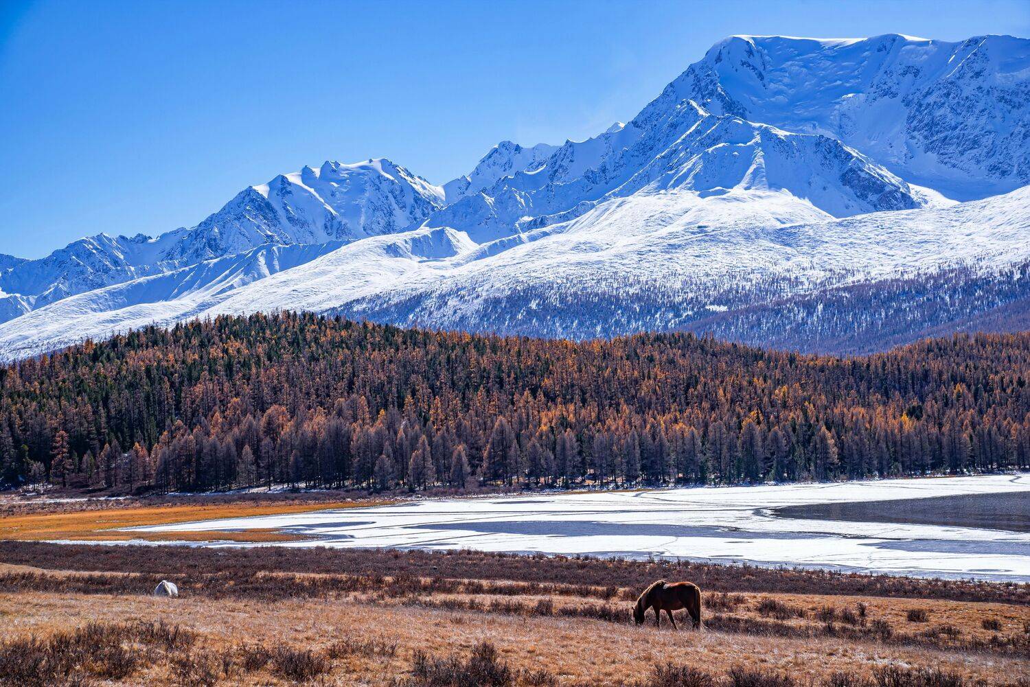 алтай. осень. горы., Евгений Дроботенко
