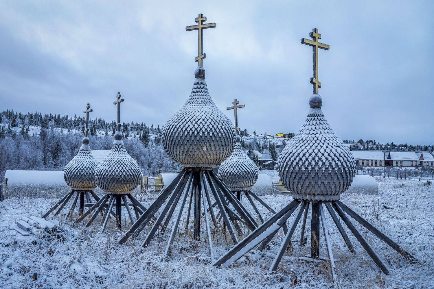 мурманская, область, Гусева Елена