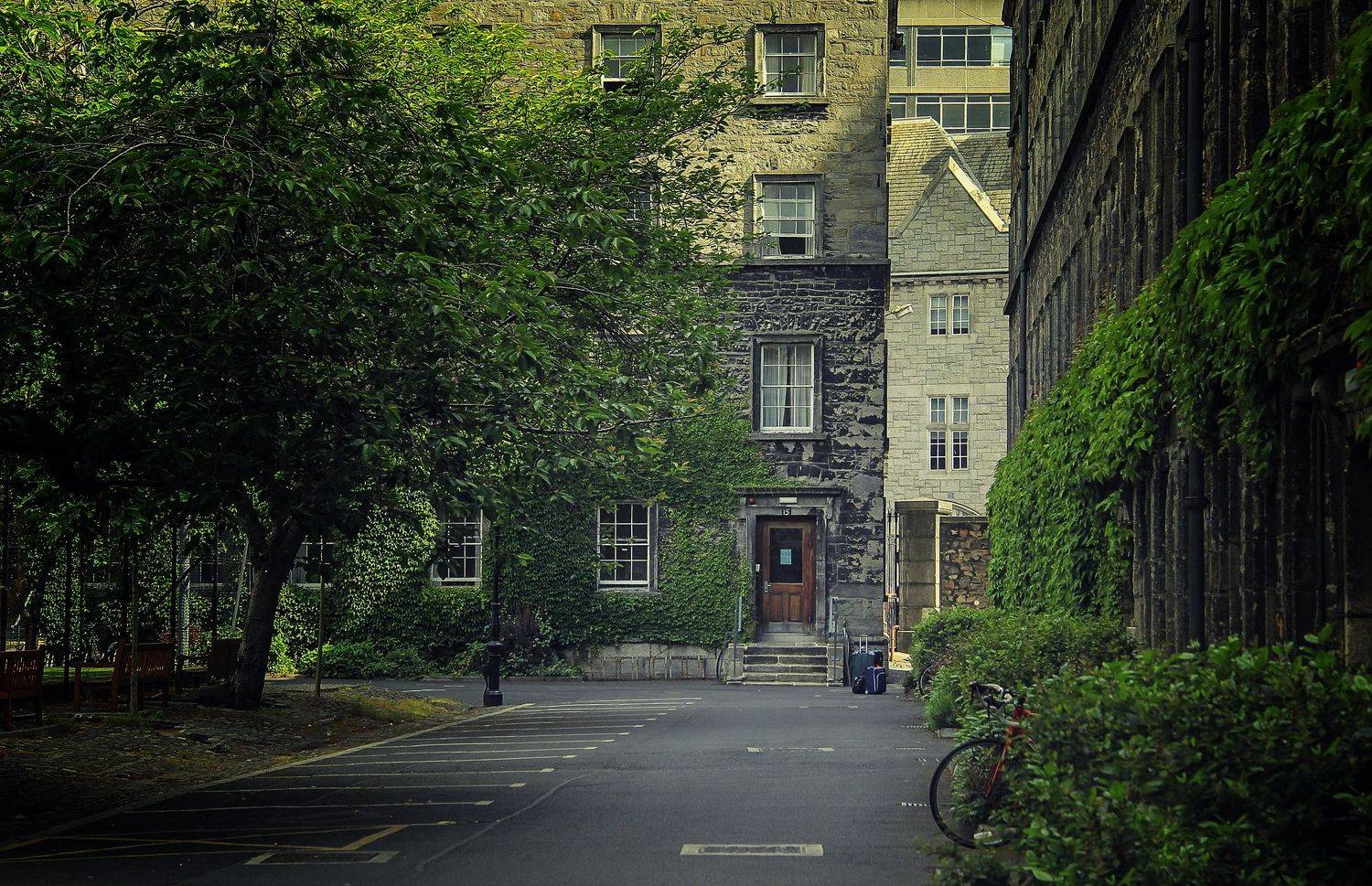 ирландия,дублин,тринити колледж, Лайко Марина