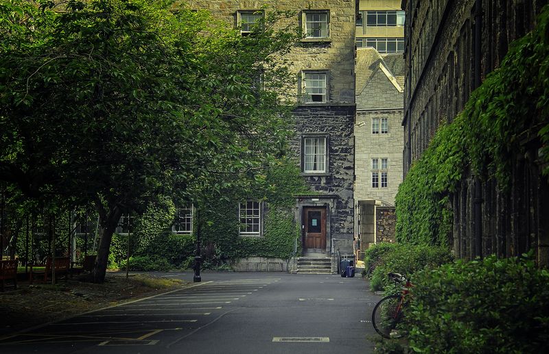 ирландия,дублин,тринити колледж Пройтись по Тринити фото превью