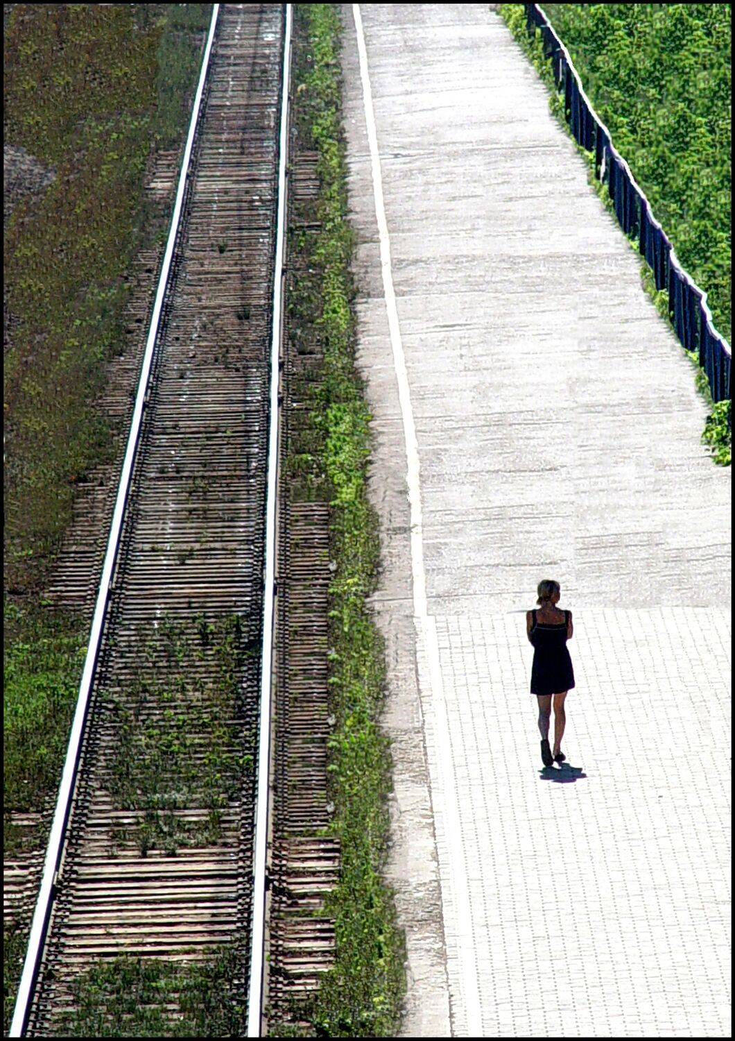 , Меднов Влад