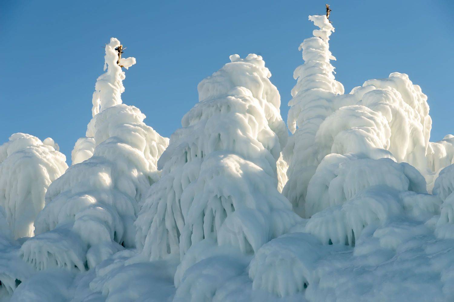 , Грищенко Ирина