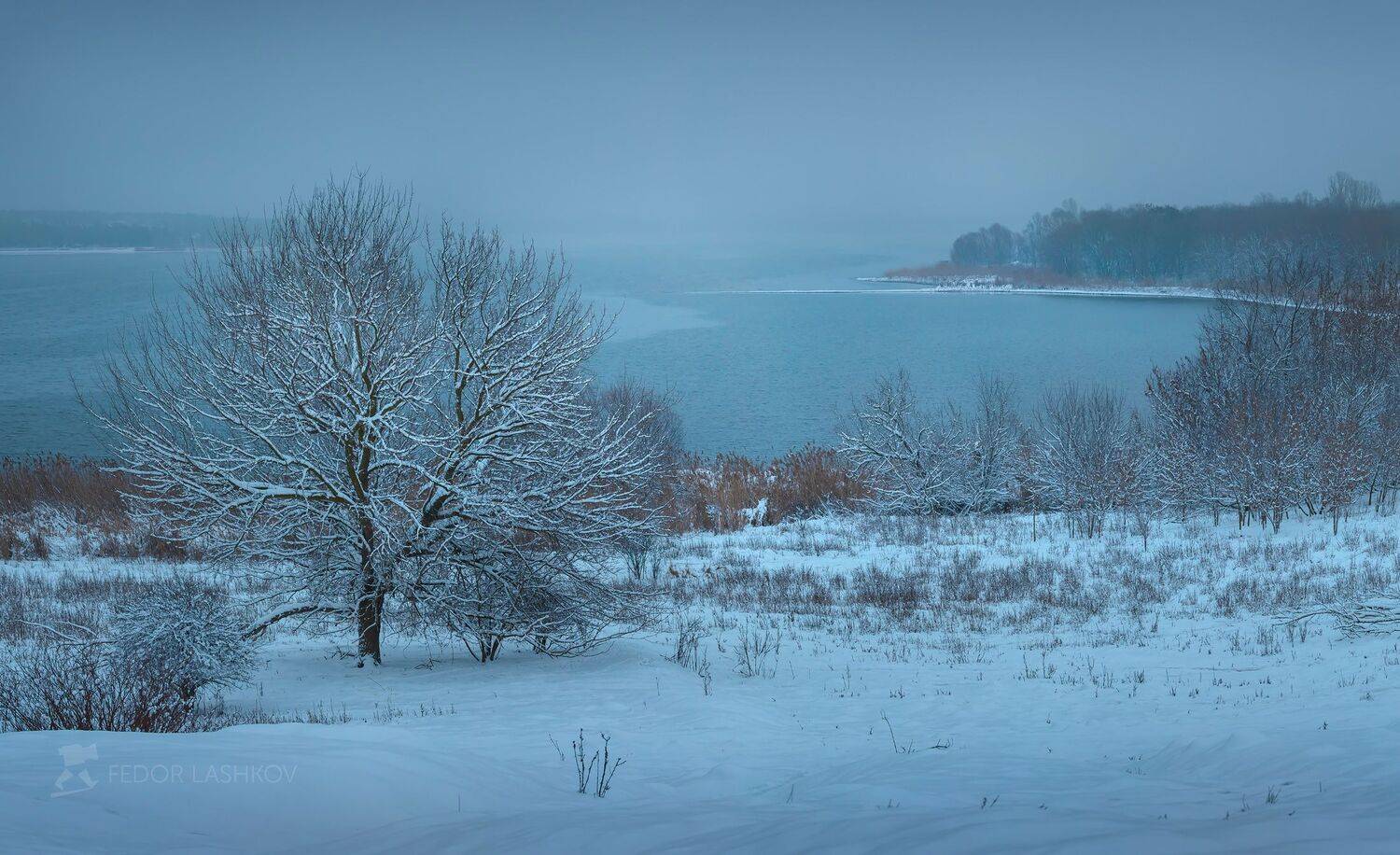 белгородская область, белогорье, зима, зима22, зимнее, первый снег, снежное, в снегу, белгородское водохранилище, водоём, озеро, пасмурно, вода, мыс, берег, сосна, одно дерево, синий, белый,, Лашков Фёдор