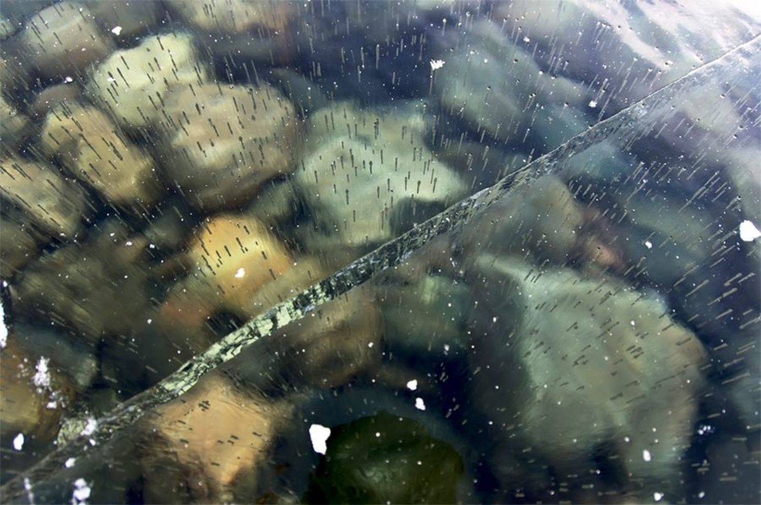 , Грищенко Ирина