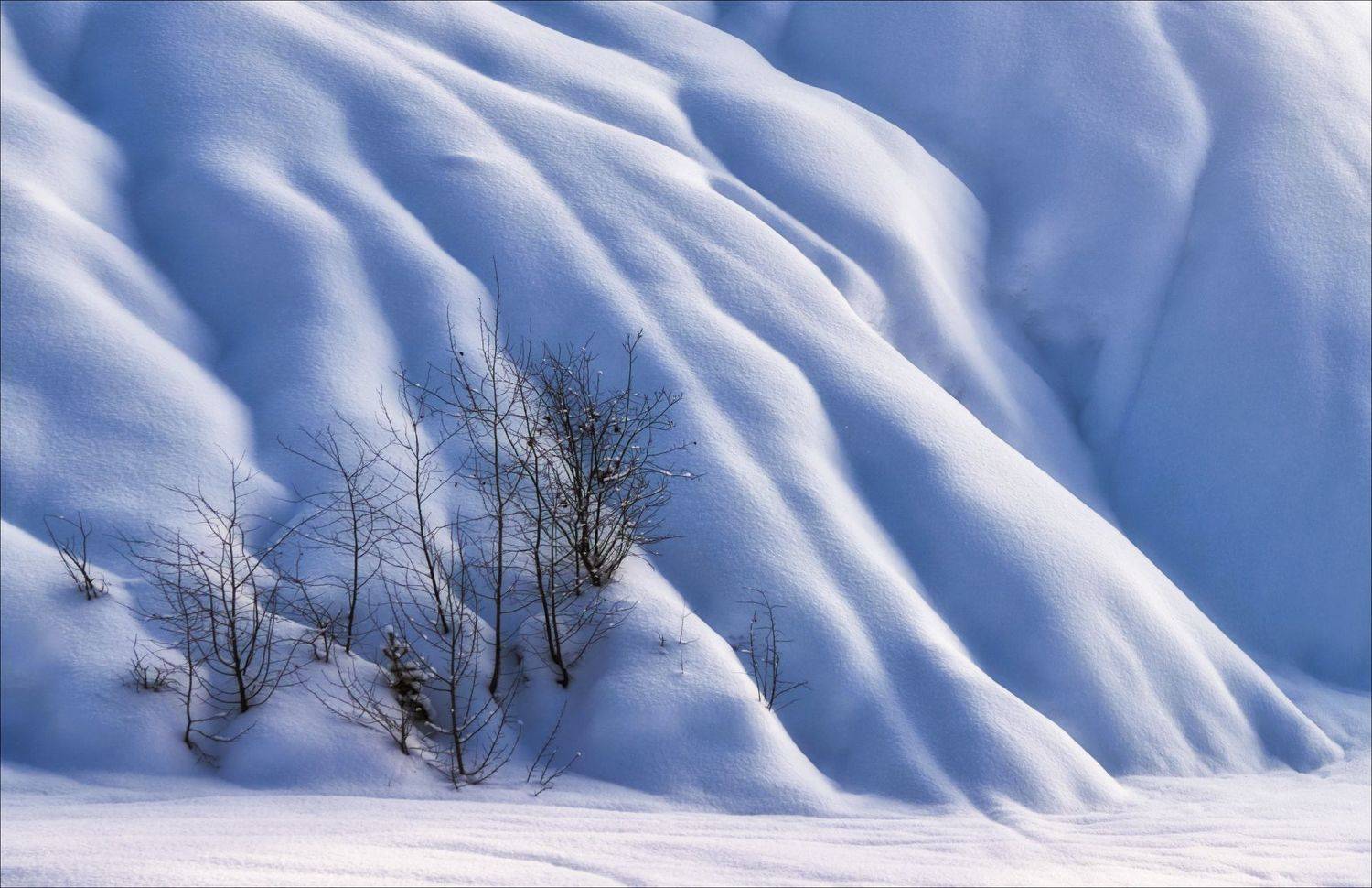 , Богорянов Алексей