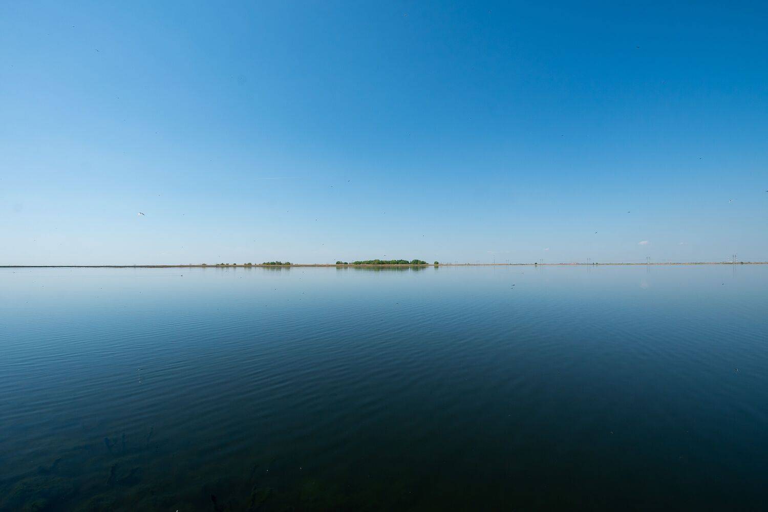 island, volgograd, russia, wildlife, , Сторчилов Павел