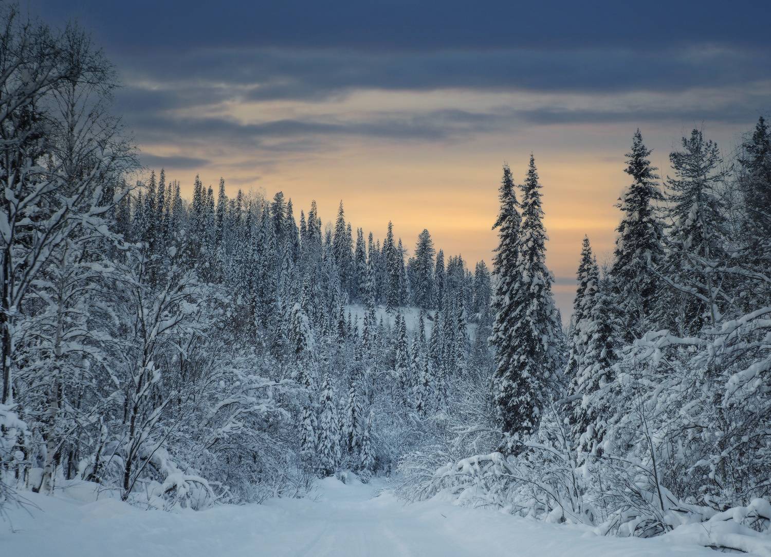 сибирь, междуреченск, кузбасс, тайга, зима, закат, зимний лес, кузнецкий алатау, Галина Хвостенко