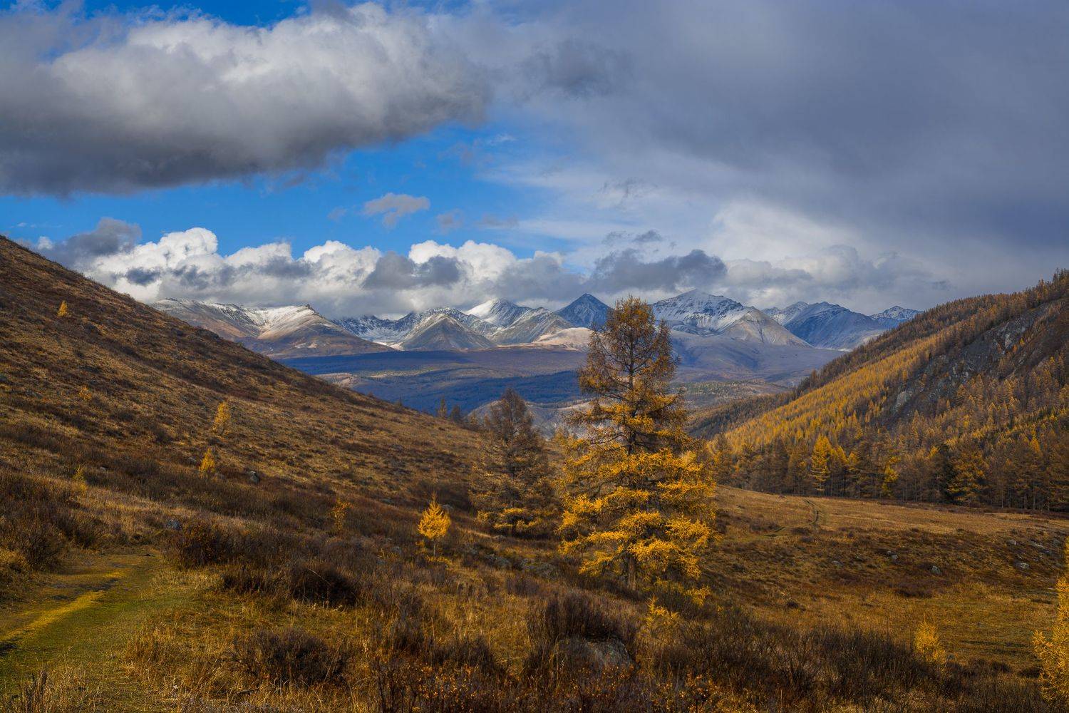россия, горный алтай,осень, Андрей Поляков
