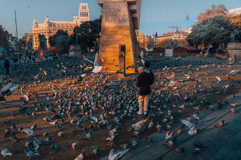 фото превью