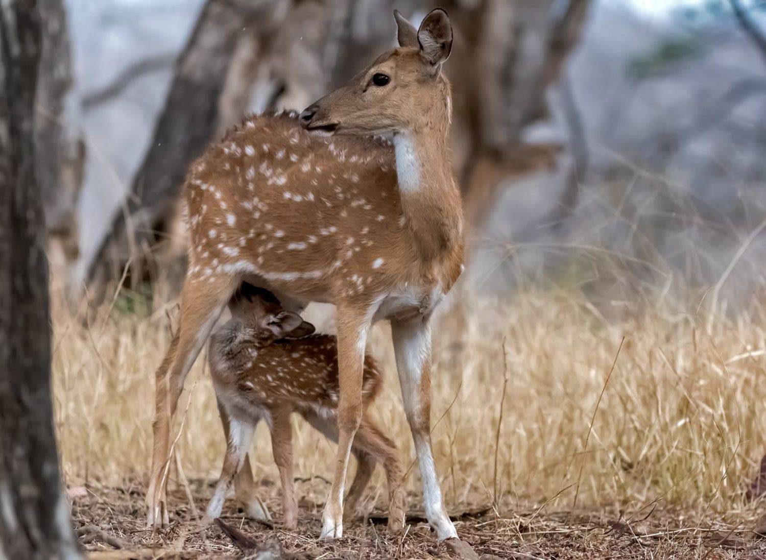 , Гордонов Юрий
