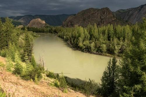 Грозовая Чуя