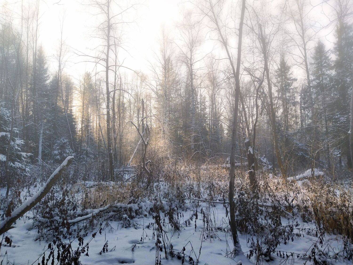 , Павел Мартюшев