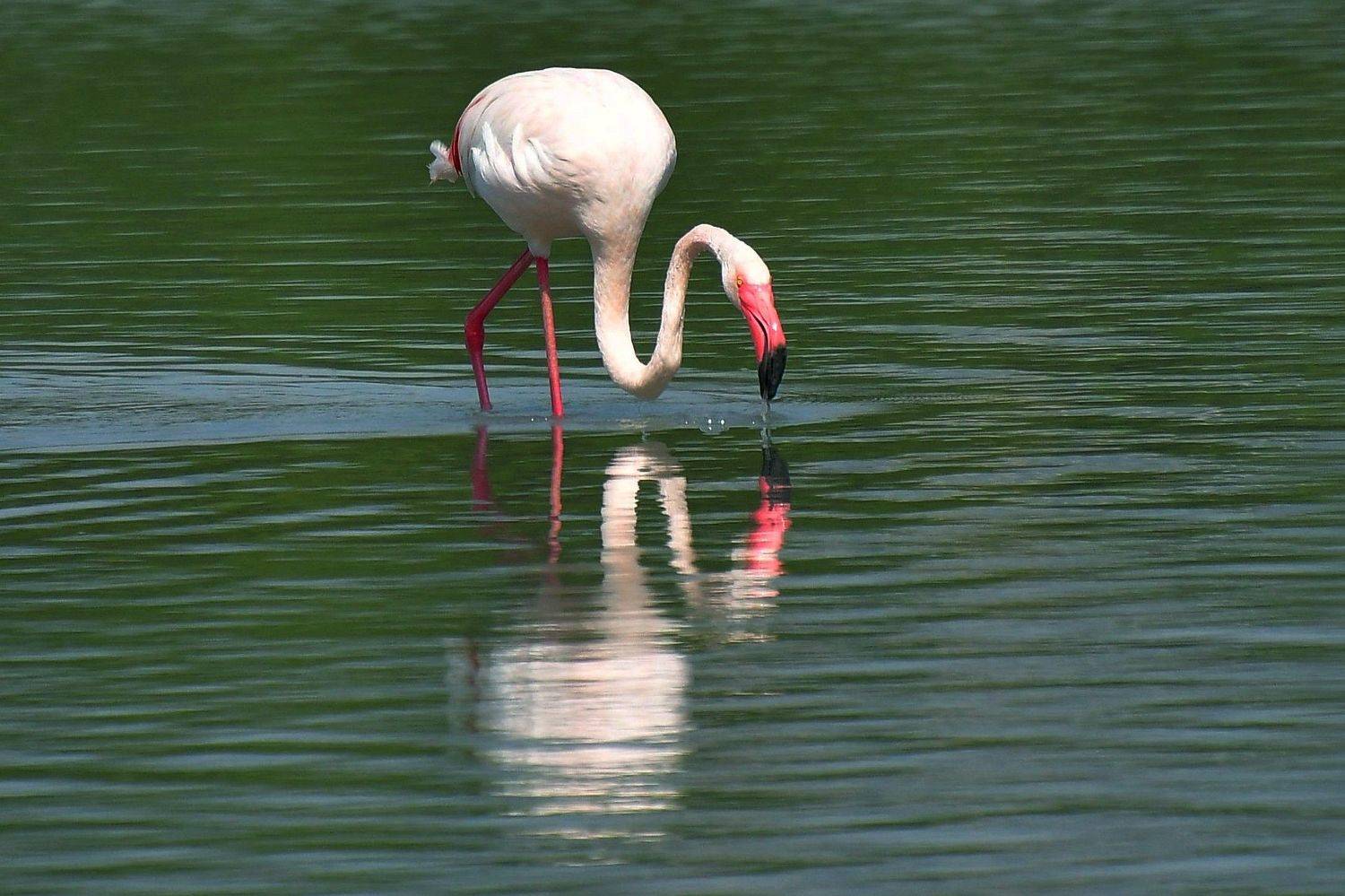 , Корнейчук Игорь