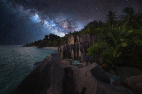 Под шелестом пальм