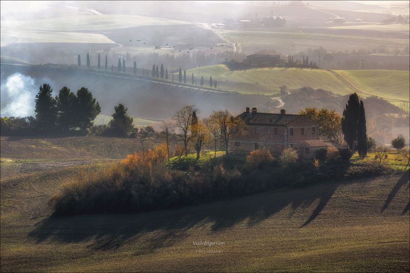italy,san quirico d\\\'orcia,italia,туман,италия,тоскана,pienza,кипарис,toscana,осень,tuscany,cipressi,belvedere,пьенца Утро в дымке фото превью