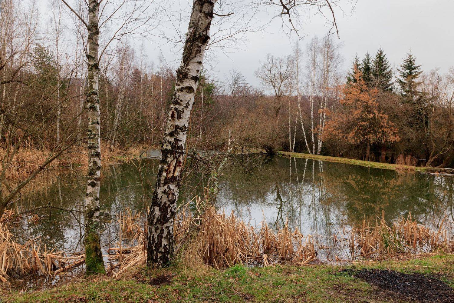 , Александър Сандев