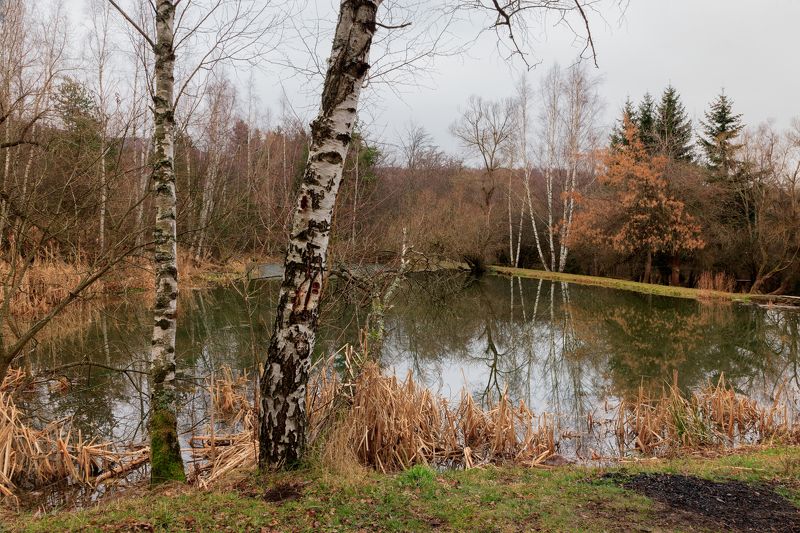 Осень еще не ушла - 28.12.2022 фото превью