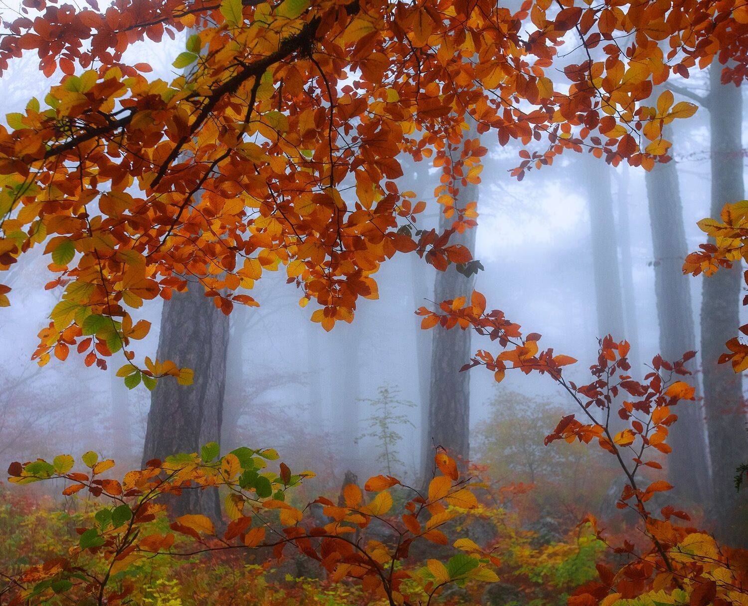 , Костенко Александр