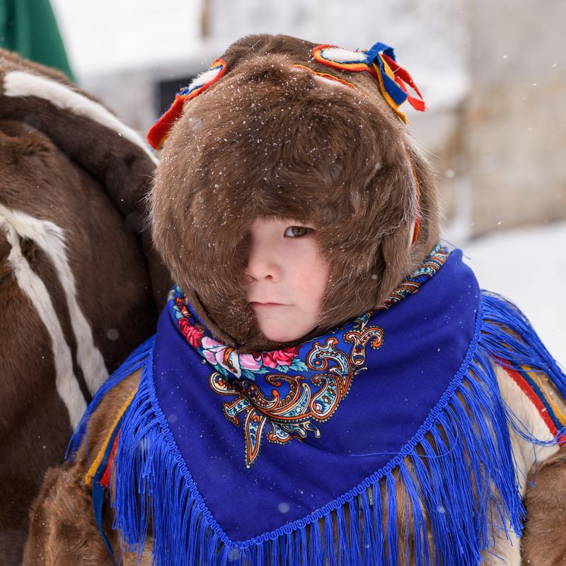 ненцы ямал ребенок Дочь оленевода фото превью