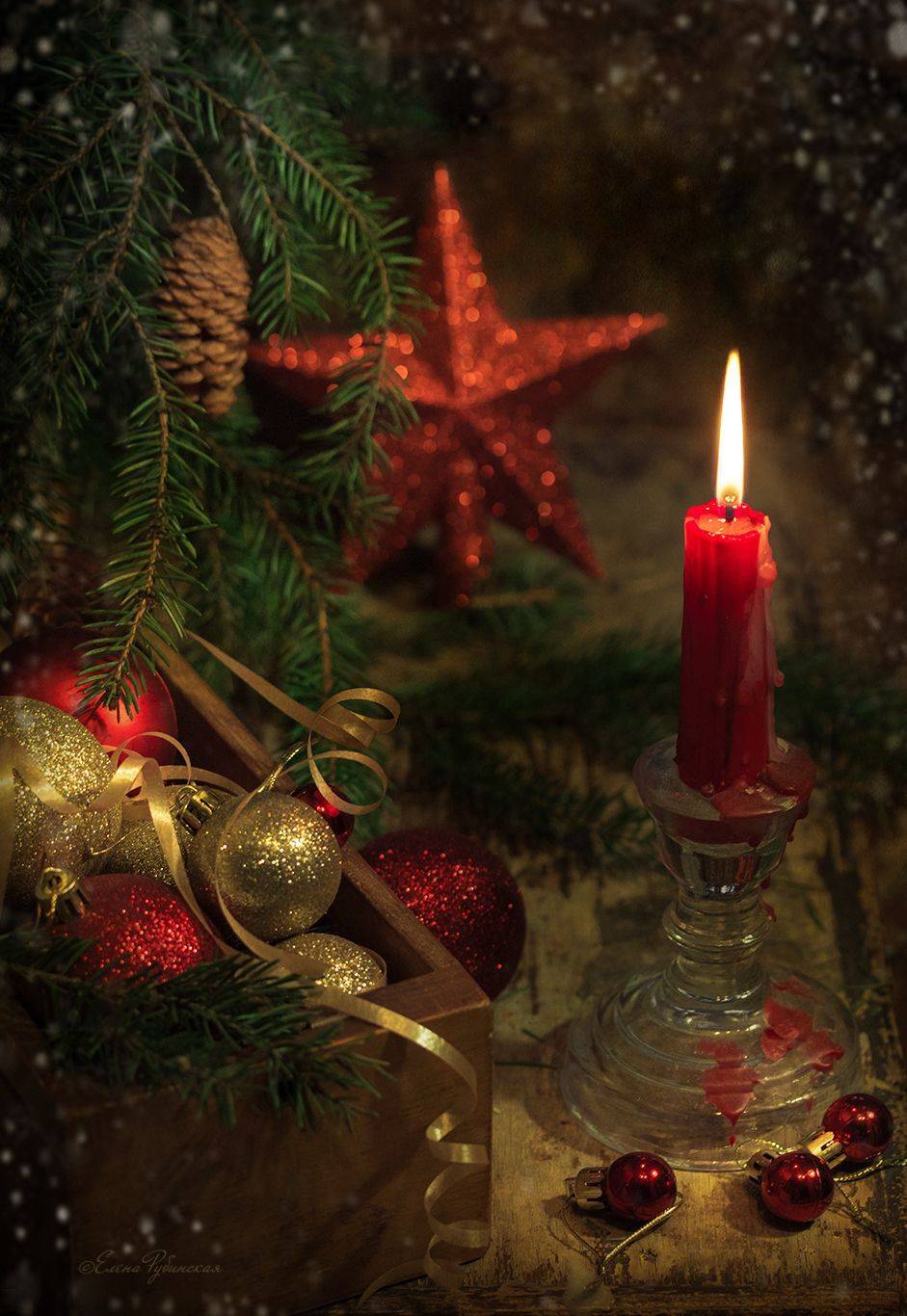 новый год, кострома, натюрморт, Елена Рубинская
