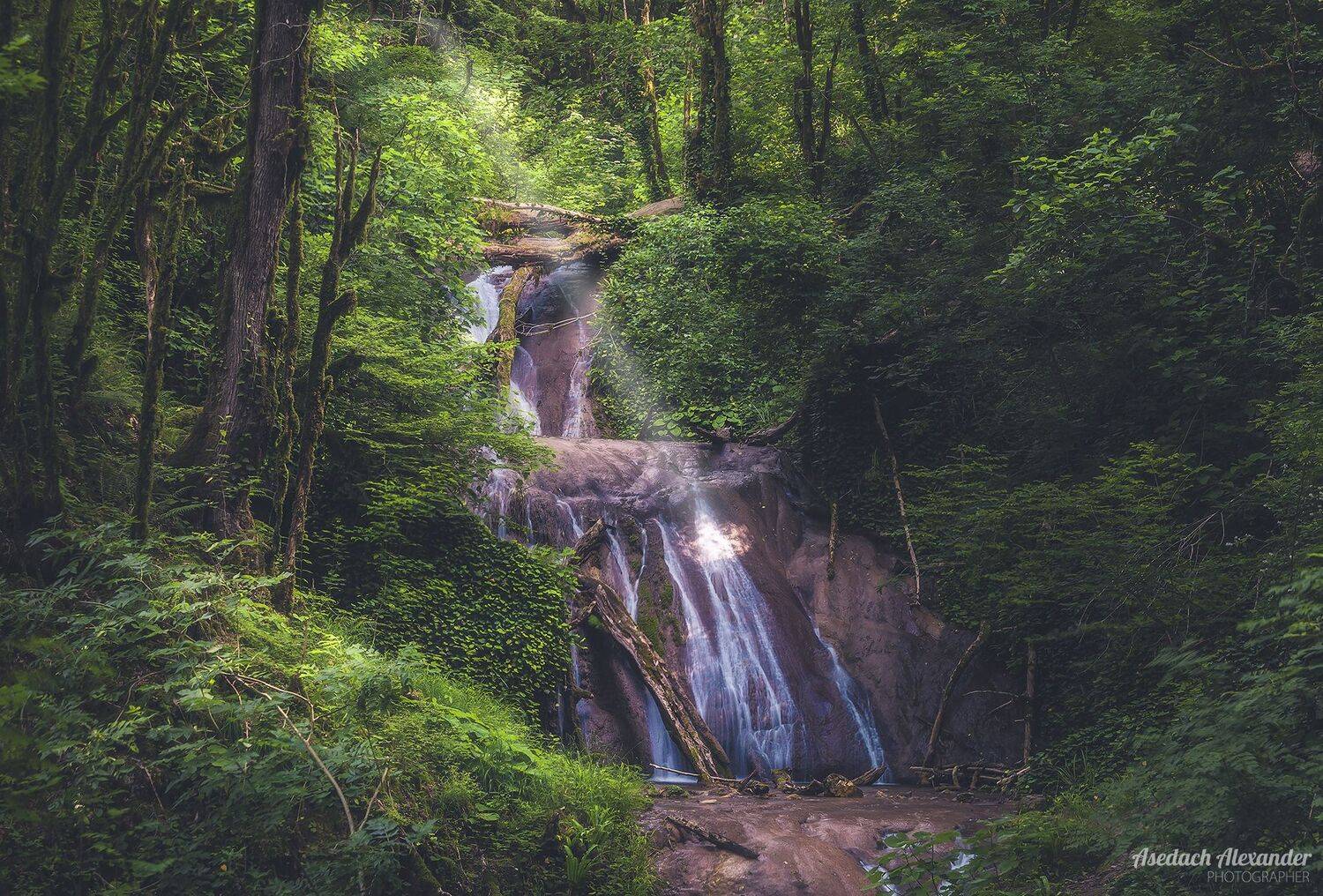 , Аседач Александр