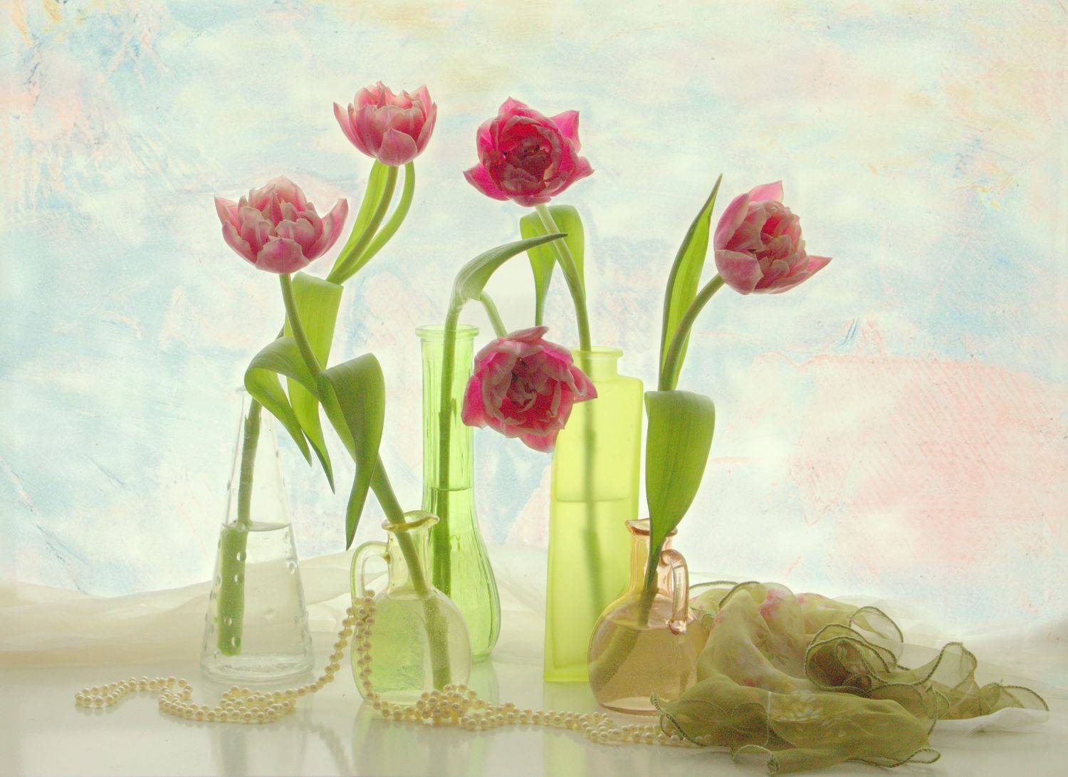 тюлпаны, Хохлова Наталья