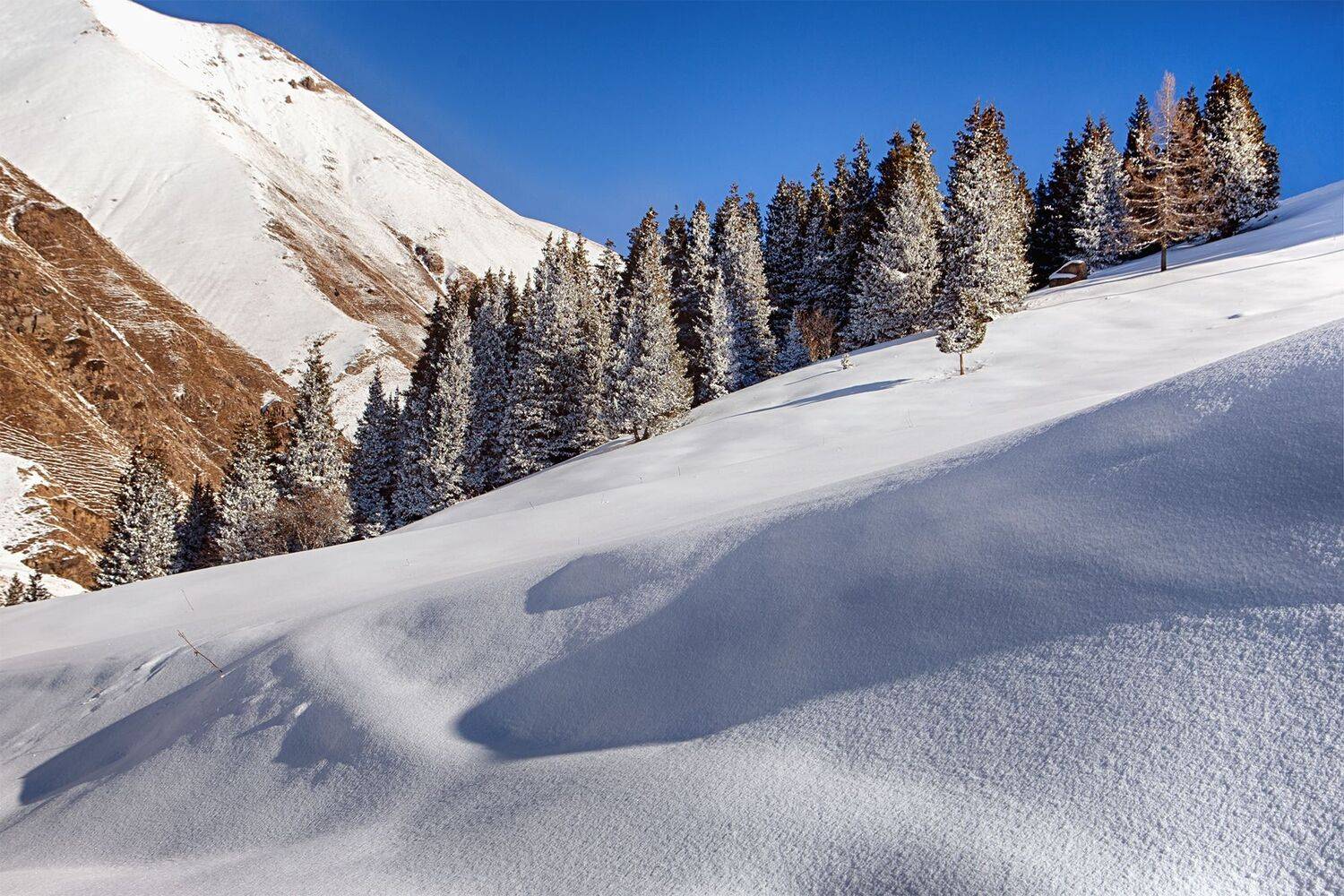 кыргызстан, ак-тюз, Элина Магалимова