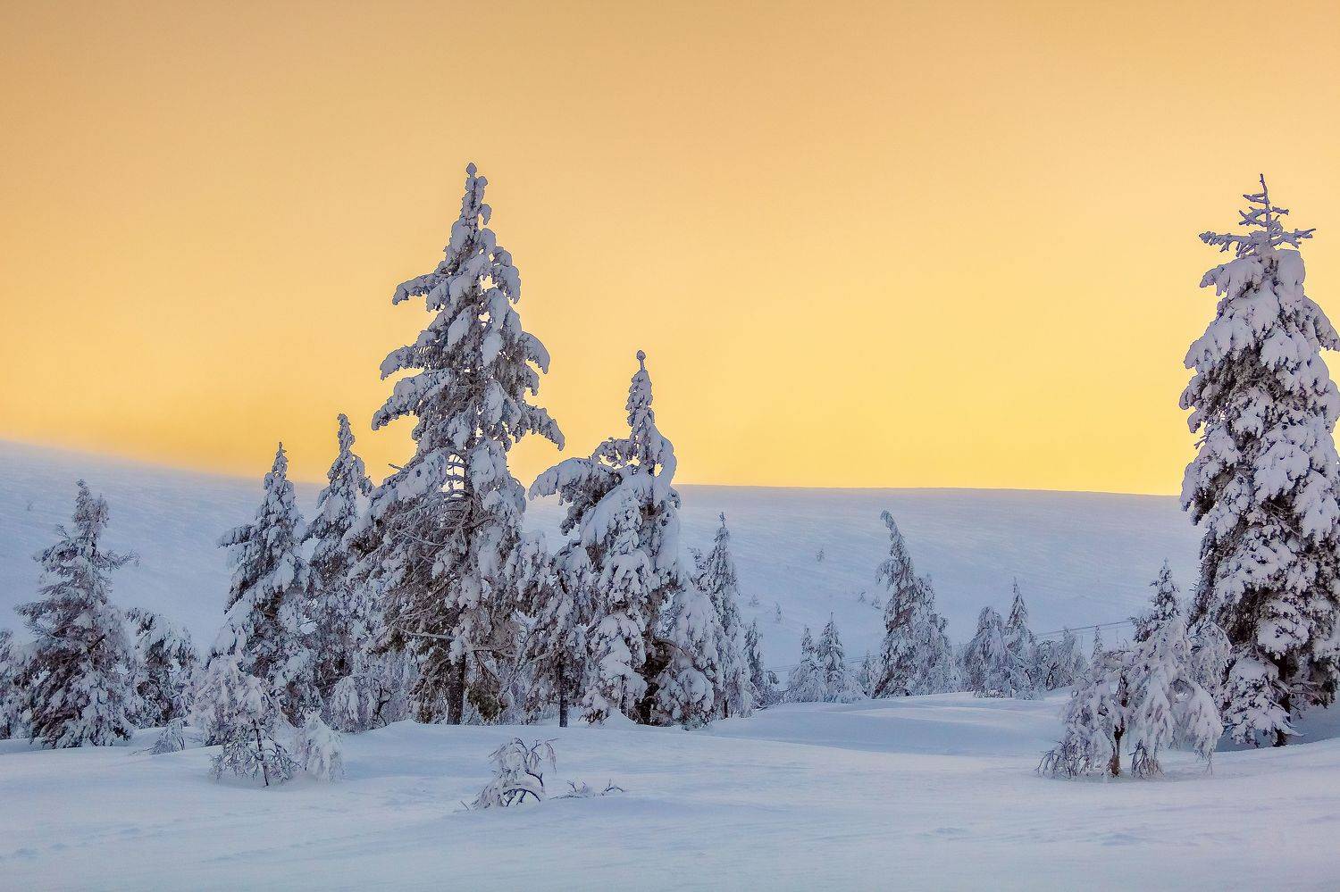 пейзаж, природа, зима, день, снег, Игнатьев Александр