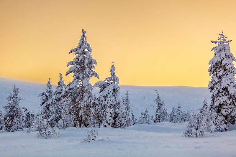 пейзаж, природа, зима, день, снег Рассвет фото превью