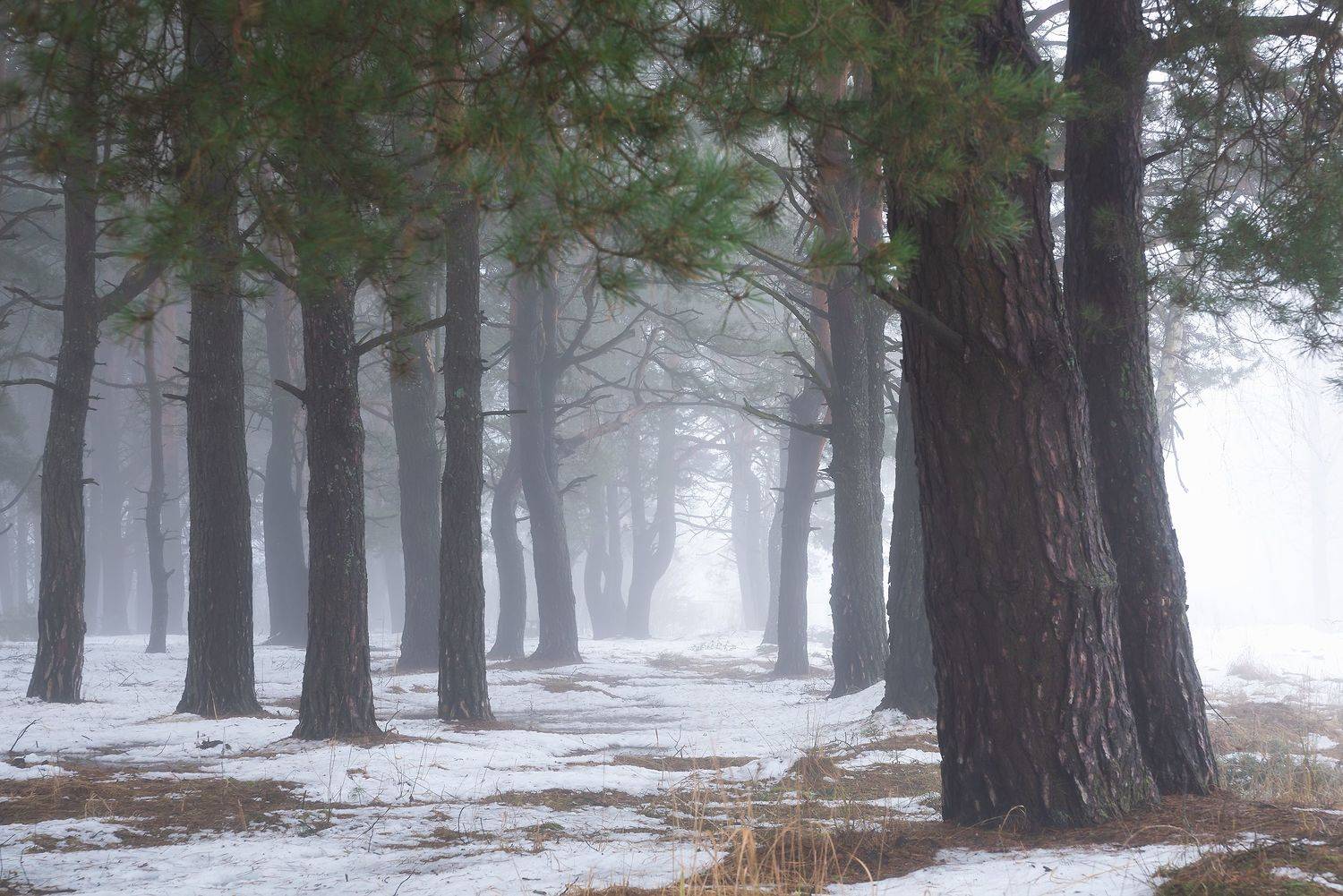 , Захаров Дмитрий