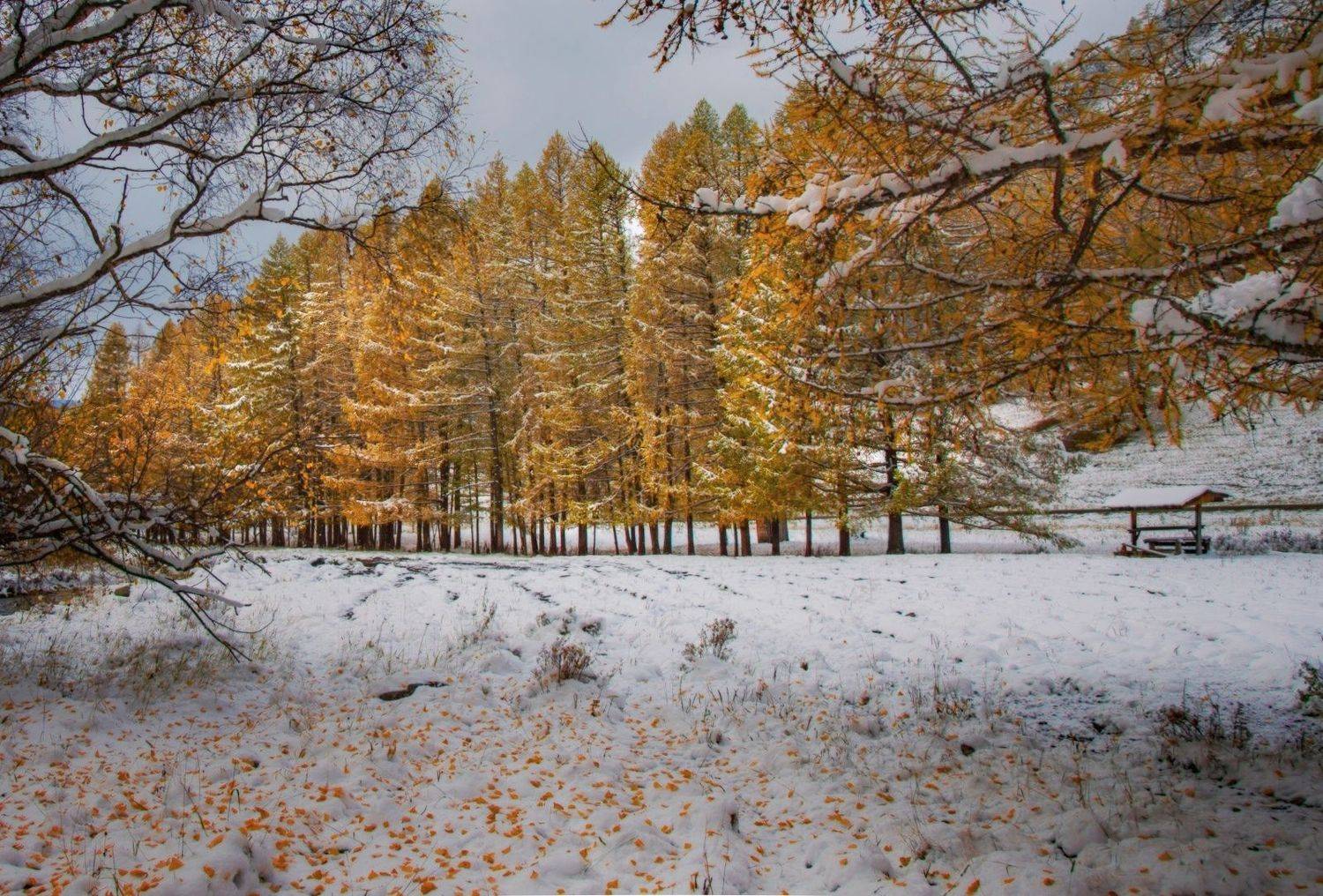 , Вадим Качанов