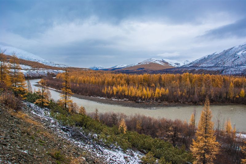 Герба фото превью