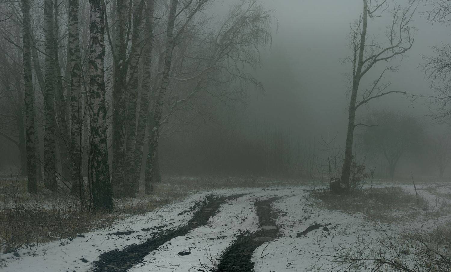 зима туман лес утро, Александр Жарников