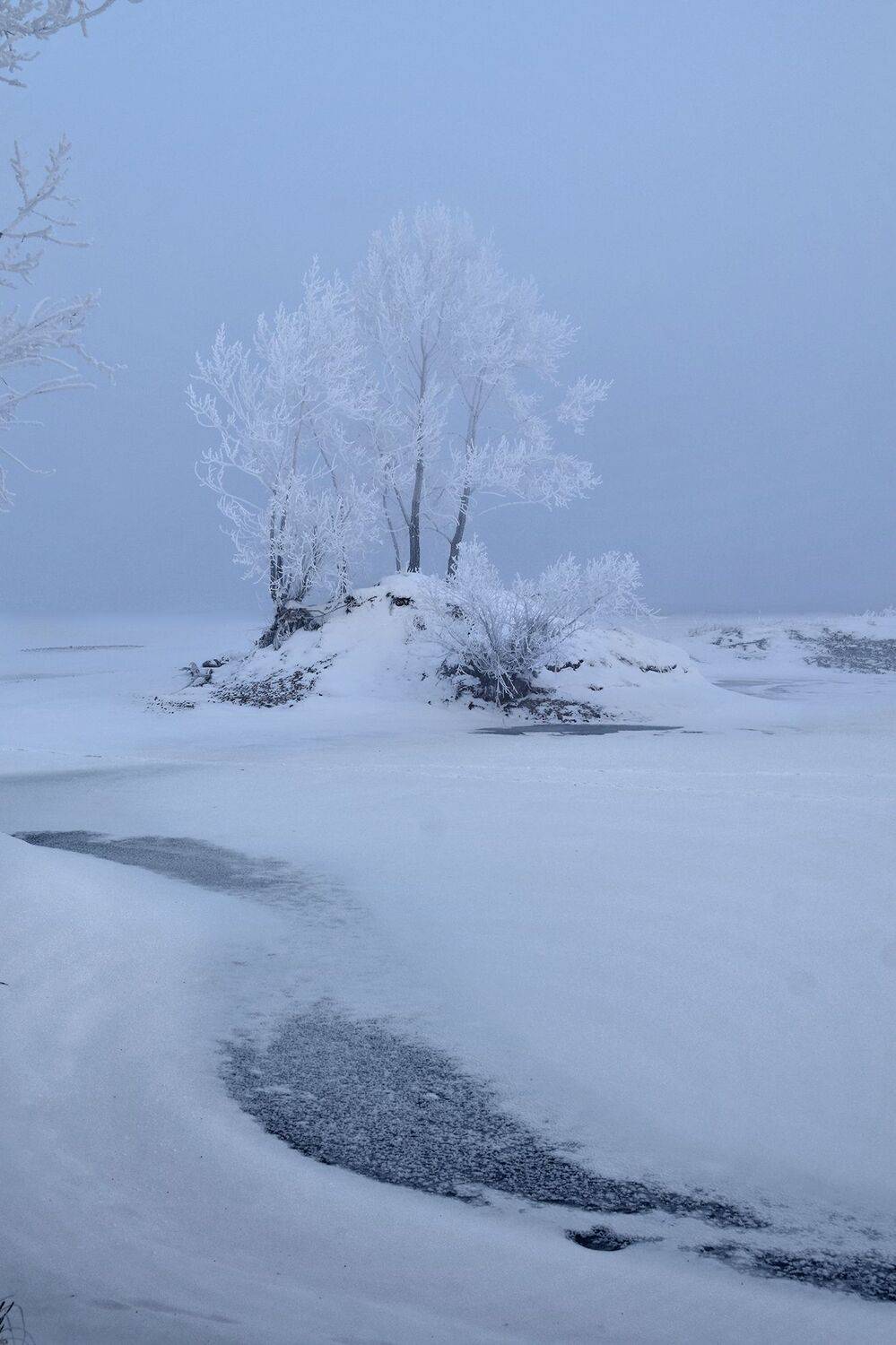 , Светлана Крат